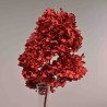 Ortensia stabilizzata "Peegee" - Rosso