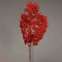 Acero giapponese stabilizzato - 55 Cm / Rosso
