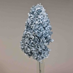 Ortensia stabilizzata "Peegee" - Blu cielo