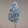 Ortensia stabilizzata "Peegee" - Blu cielo