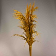 Pampas stabilizzata 5 steli - 110 Cm / Giallo