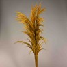 Pampas stabilizzata 5 steli - 110 Cm / Giallo