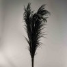 Pampas stabilizzata 5 steli - 110 Cm / Nero