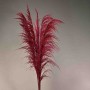 Pampas stabilizzata 5 steli - 110 Cm / Magenta