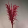Pampas stabilizzata 5 steli - 110 Cm / Magenta