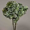 Ortensia stabilizzata "Twin Petals" - Verde