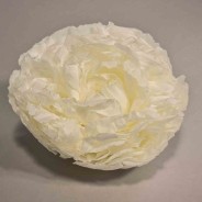Peonia stabilizzata - 10 Cm / Bianco