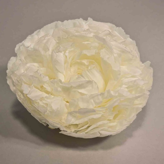 Peonia stabilizzata - 10 Cm / Bianco