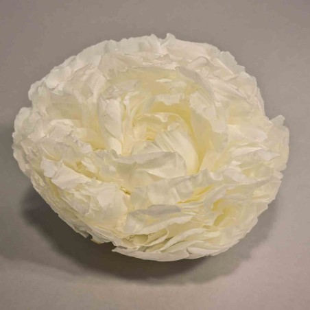 Peonia stabilizzata - 10 Cm / Bianco