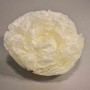 Peonia stabilizzata - 10 Cm / Bianco