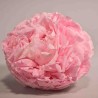 Peonia stabilizzata - 10 Cm / Rosa