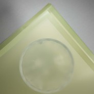 Fogli "Mat square"con bordo 12 Pezzi 50 My - 58x58 Cm / Verde chiaro