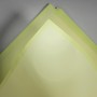 Fogli "Glam" con bordo 25 Pezzi - 50x50 Cm / Verde chiaro