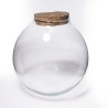 Terrarium con tappo in sughero - D 20x19 Cm / Trasparente