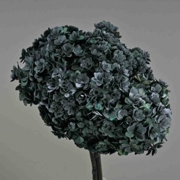 Ortensia stabilizzata "Twin Petals" - Blu