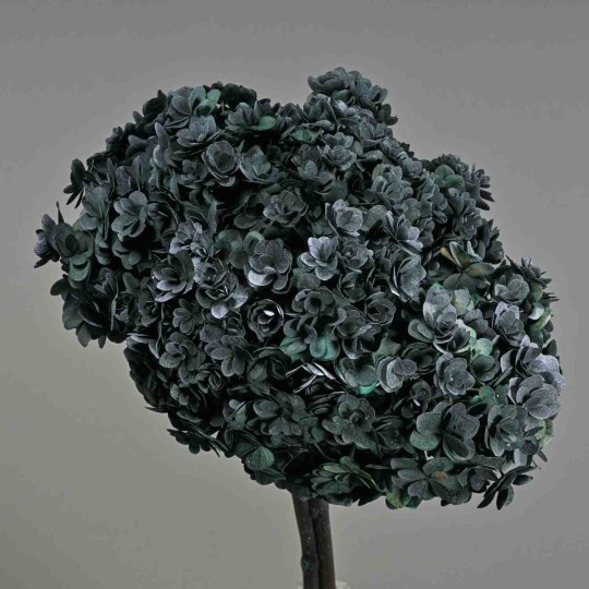 Ortensia stabilizzata "Twin Petals" - Blu