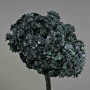 Ortensia stabilizzata "Twin Petals" - Blu