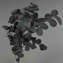 Populus stabilizzato - 68 Cm / Uva