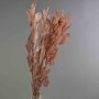 Ruscus stabilizzato - 70 Cm / Rosa