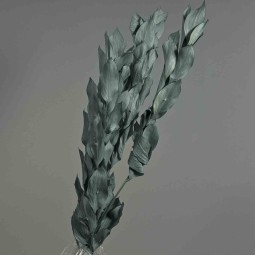 Ruscus stabilizzato - 70 Cm / Grigio-blu