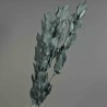 Ruscus stabilizzato - 70 Cm / Grigio-blu