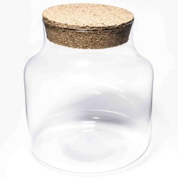 Terrarium con tappo in sughero - D 19x19 Cm / Trasparente