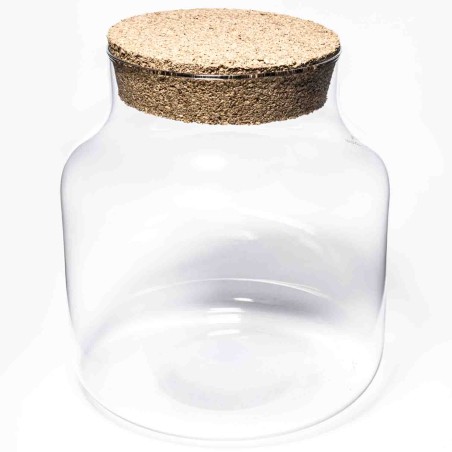 Terrarium con tappo in sughero - D 19x19 Cm / Trasparente