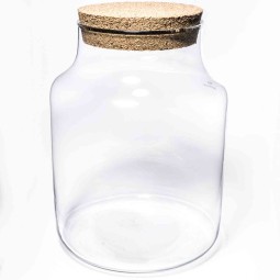Terrarium con tappo in sughero - D 19x26 Cm / Trasparente