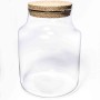 Terrarium con tappo in sughero - D 19x26 Cm / Trasparente