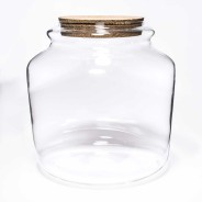 Terrarium con tappo in sughero - D 18x18 Cm / Trasparente