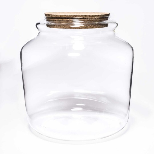 Terrarium con tappo in sughero - D 18x18 Cm / Trasparente