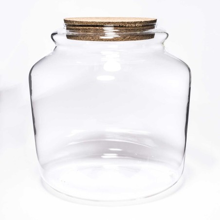 Terrarium con tappo in sughero - D 18x18 Cm / Trasparente