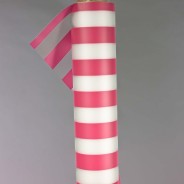 Bobina PPL a righe - 1x20 M / Fuxia