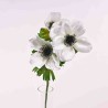 Anemone in ramo - 55 Cm / Bianco