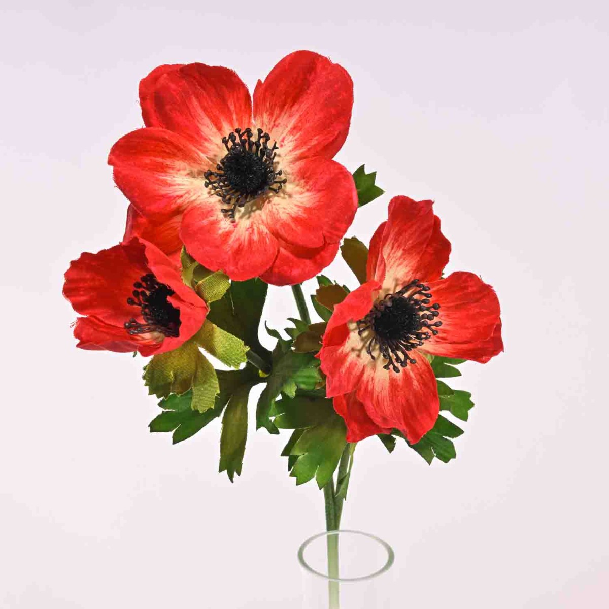 Anemone in ramo - 55 Cm / Rosso