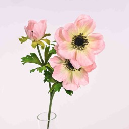 Anemone in ramo - 55 Cm / Rosa