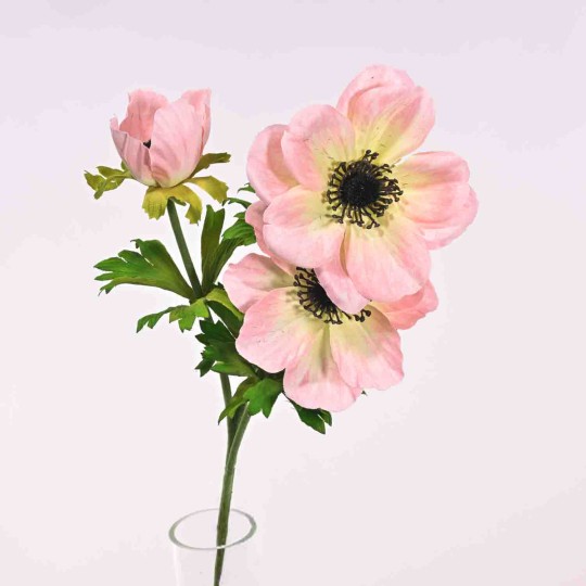 Anemone in ramo - 55 Cm / Rosa