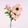 Anemone in ramo - 55 Cm / Rosa