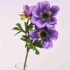 Anemone in ramo - 55 Cm / Lavanda