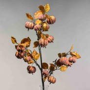 Zucche decorative in ramo - 98 Cm
