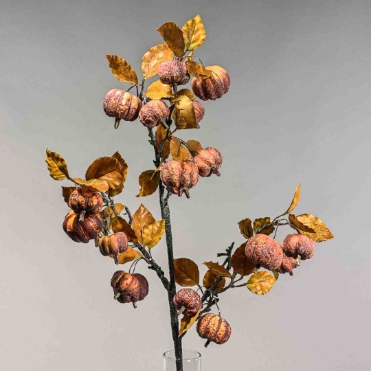 Zucche decorative in ramo - 98 Cm