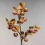 Zucche decorative in ramo - 98 Cm