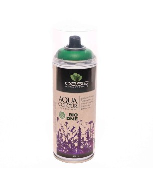 Spray "Acqua Color" 400 Ml - Verde