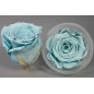 Rose Stabilizzate in vari colori - Confezione 6 pezzi - Azzurro 