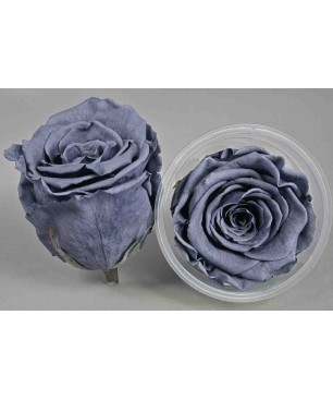 Rose Stabilizzate in vari colori - Confezione 6 pezzi - Blu Avio Chiaro