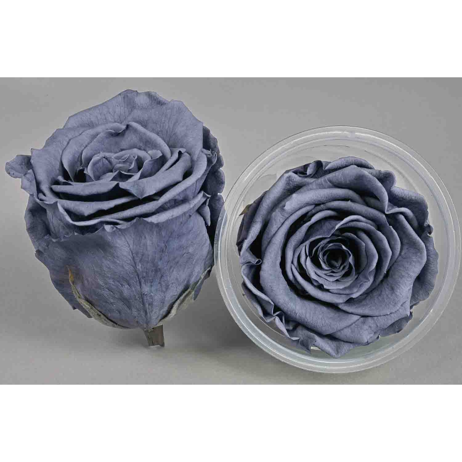 Rose Stabilizzate in vari colori - Confezione 6 pezzi - Blu Avio Chiaro