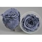 Rose Stabilizzate in vari colori - Confezione 6 pezzi - Blu Avio Chiaro