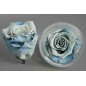 Rose Stabilizzate in vari colori - Confezione 6 pezzi - Bicolore azzurro