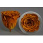 Rose Stabilizzate in vari colori - Confezione 6 pezzi - Toffee scuro