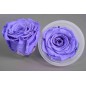 Rose Stabilizzate in vari colori - Confezione 6 pezzi - Viola